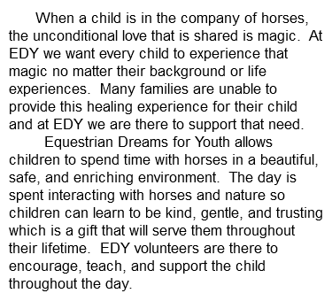  When a child is in the company of horses, the unconditional love that is shared is magic. At EDY we want every child to experience that magic no matter their background or life experiences. Many families are unable to provide this healing experience for their child and at EDY we are there to support that need. Equestrian Dreams for Youth allows children to spend time with horses in a beautiful, safe, and enriching environment. The day is spent interacting with horses and nature so children can learn to be kind, gentle, and trusting which is a gift that will serve them throughout their lifetime. EDY volunteers are there to encourage, teach, and support the child throughout the day.